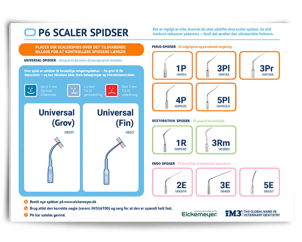 Guide til P6 scaler spidser